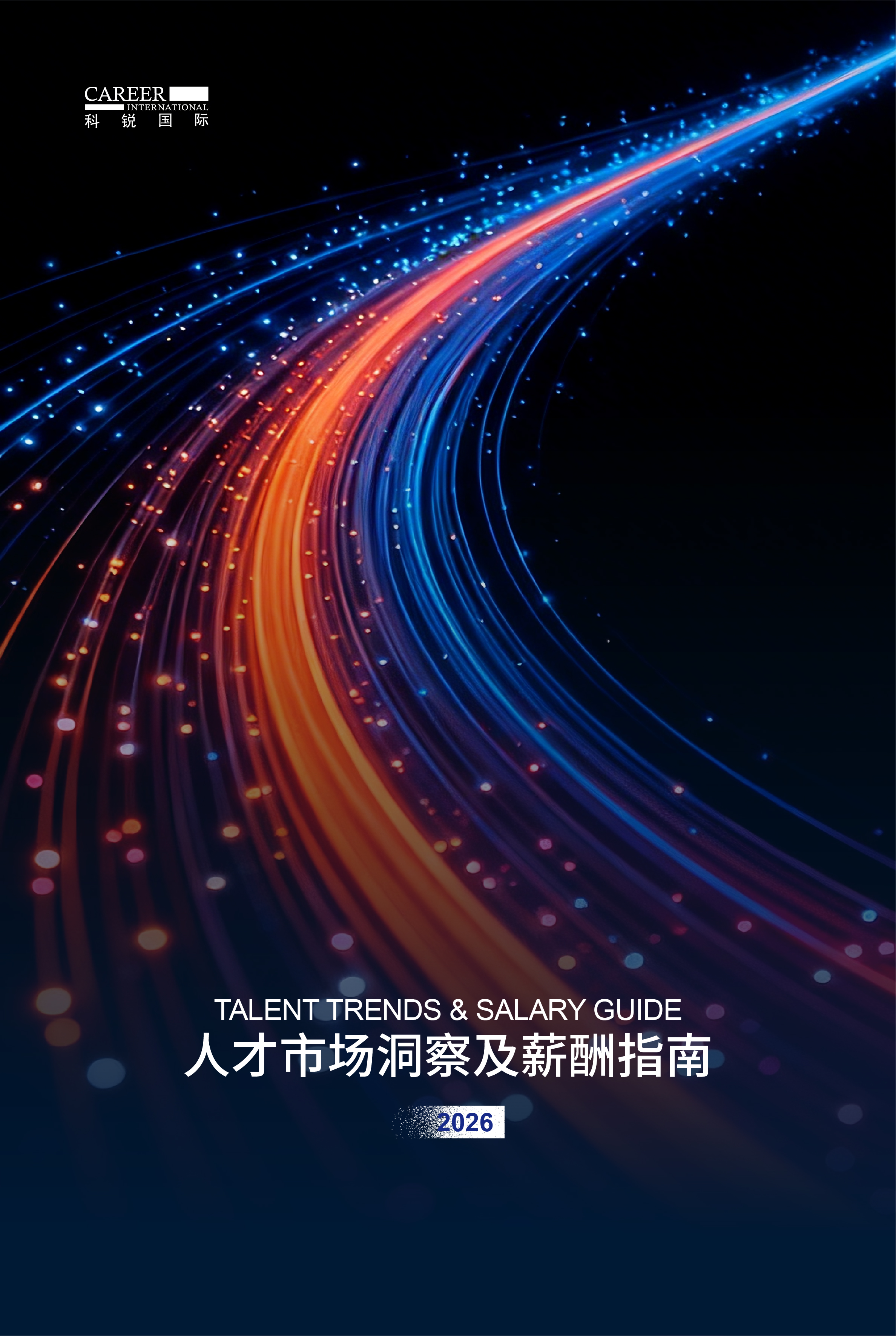 2026积越信息国际人才市场洞察及薪酬指南